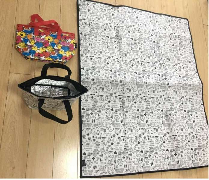 Outdoor Activity Picnic Waterproof Beach Mat /Bag